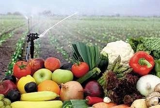 Organic Farming course