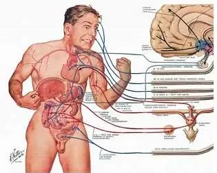 Bioenergetics