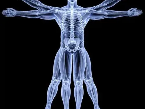 advanced certificate in anatomy and physiology