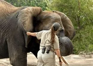Zoo Keeping Course