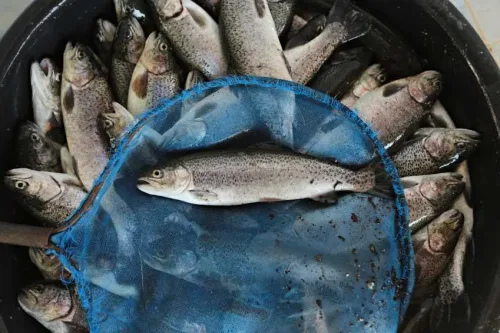 Aquaculture Online Course