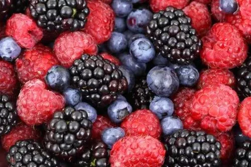 Berry Production Online Course
