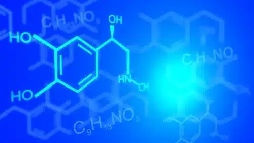 Biochemistry C (Animals) Online Course