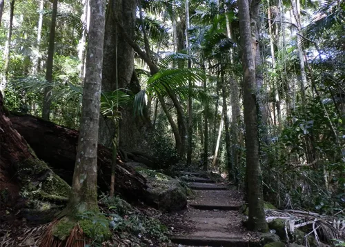 Adventure Tourism