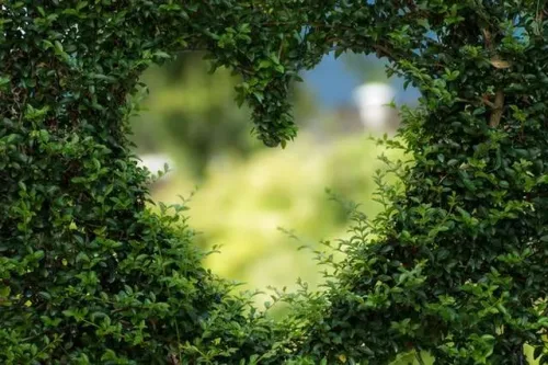 Natural Garden Design Online Course