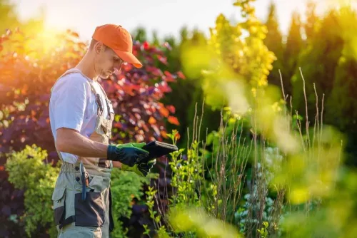 man in beautiful garden.