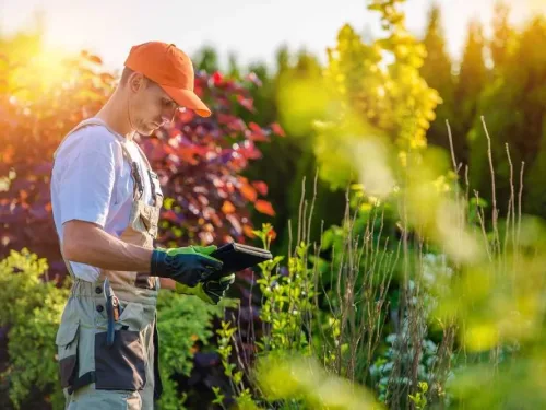 Horticulture Courses Online