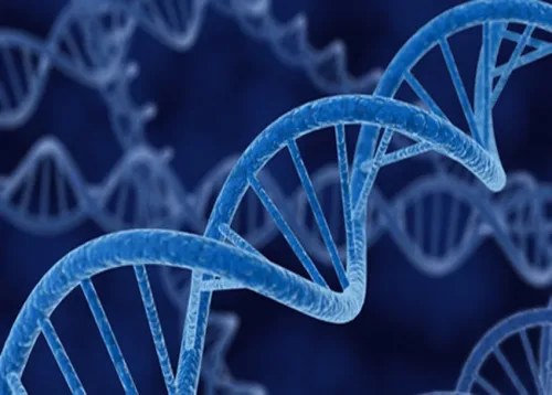 Genetics Online Course