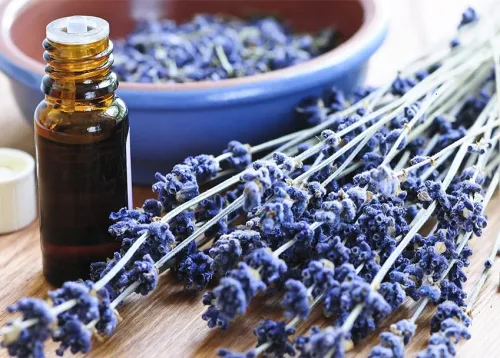 Scented Plants Online Course