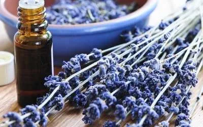 Aromatherapy course