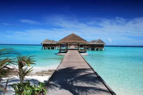 Hotel Management Course Online