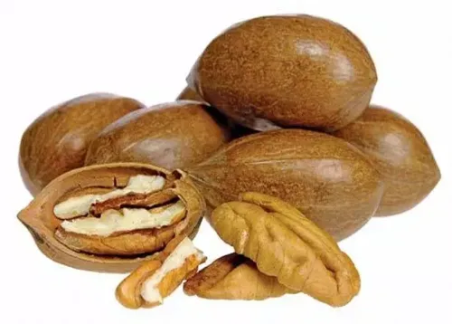Nut Production (Warm Climates) Online Course