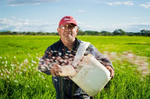 Sustainable Agriculture Online Course
