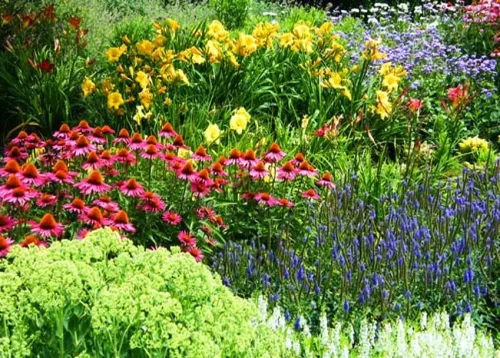 Perennials Online Course