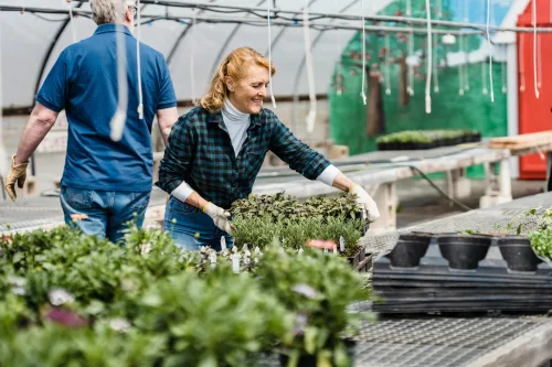 Workers at a garden center.