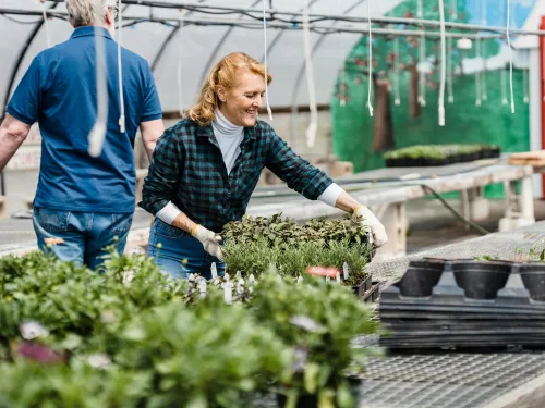 Workers at a garden center.