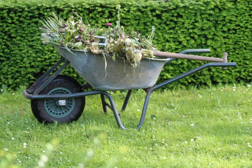 Use this weed management course to learn all aspects on controlling weeds.