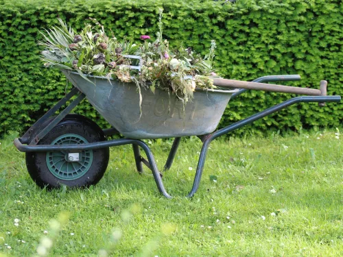 Use this weed management course to learn all aspects on controlling weeds.
