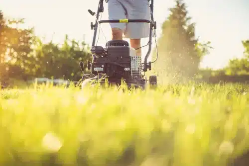 Learn lawn care like this guy mowing his uncared for lawn!