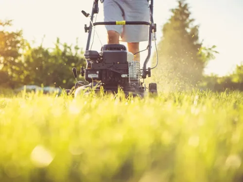 Learn lawn care like this guy mowing his uncared for lawn!