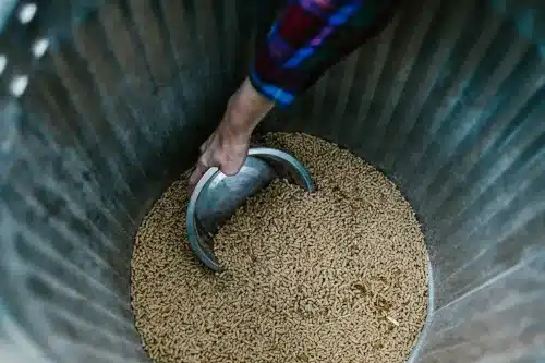 Animal Husbandry C (Feed and Nutrition) Online Course