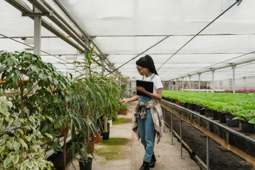 Study this plant health course to ensure production, plant health and profits.