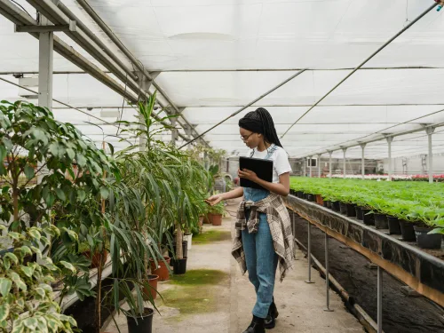 Study this plant health course to ensure production, plant health and profits.