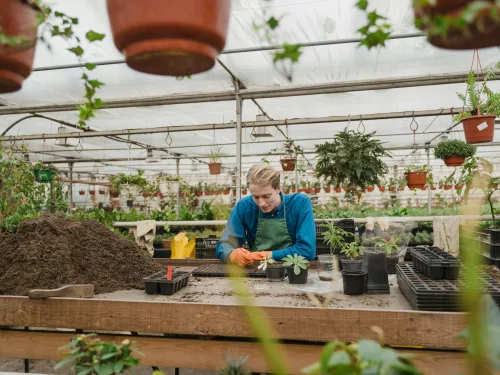 Study practical horticulture course to gain the skills you need.