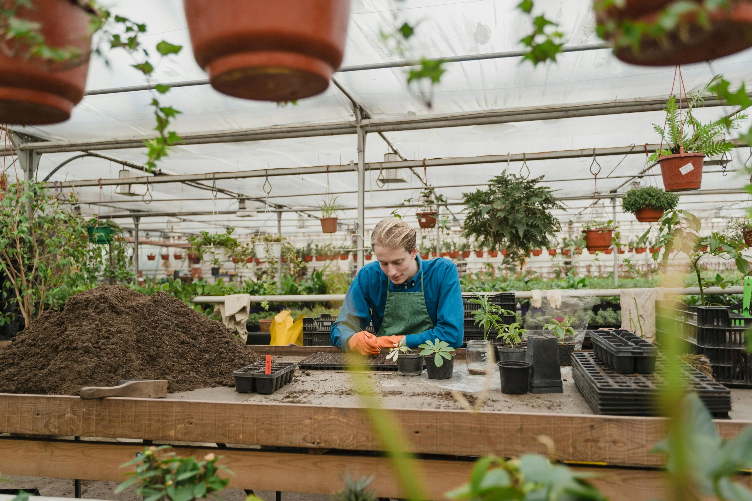 Study practical horticulture course to gain the skills you need.