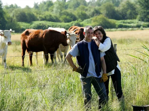 Permaculture