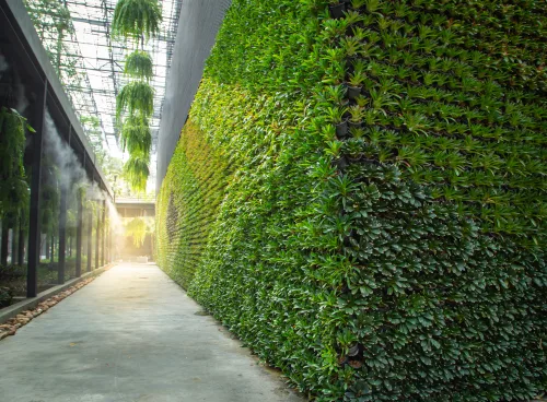 Transform urban spaces with our vertical gardening course online.