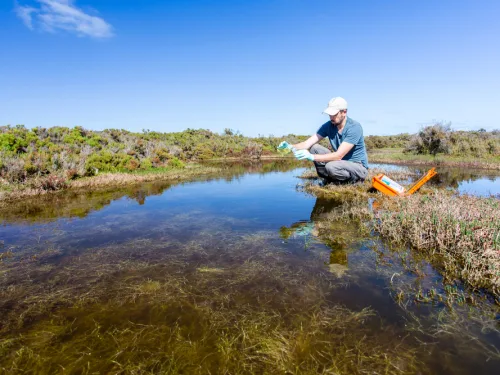 Environmental Assessment Online Course