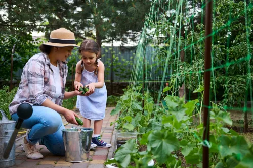 Short Course in Fruits and Vegetables