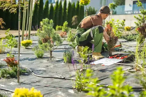 Irrigation (Gardens) Online Course