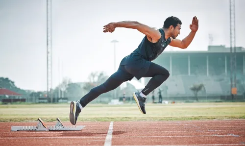 Anatomy and Physiology C (Muscles and Movement) Online Course