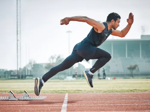 Anatomy and Physiology C (Muscles and Movement) Online Course