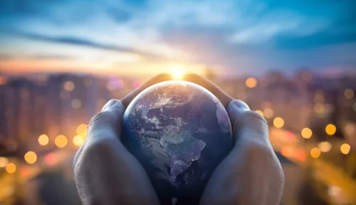 Introduction to Ecology Online Course