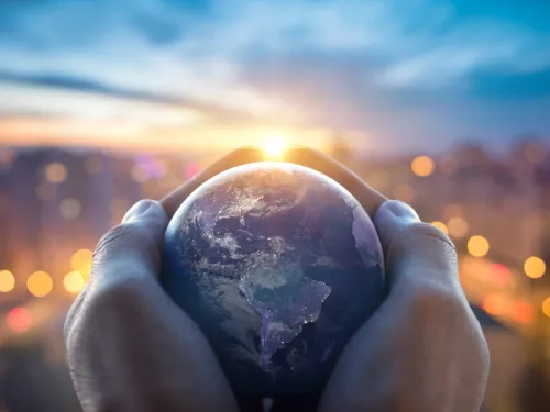 Introduction to Ecology Online Course