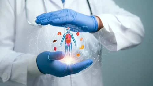 Anatomy and Physiology B (Bioenergetics) Course