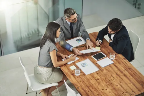 Professional consultancy course online.