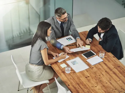 Professional consultancy course online.
