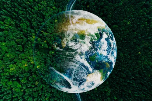 Conservation and Environmental Management Online Course