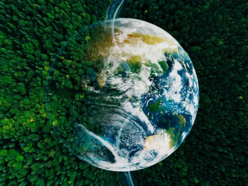 Conservation and Environmental Management Online Course