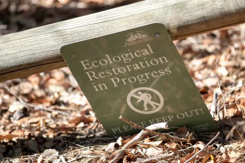 Short Course on Land Degradation, Restoration & Management