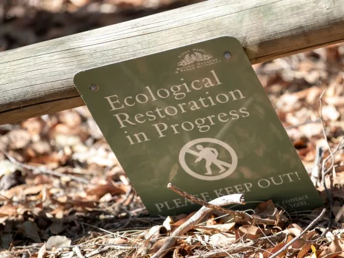 Short Course on Land Degradation, Restoration & Management