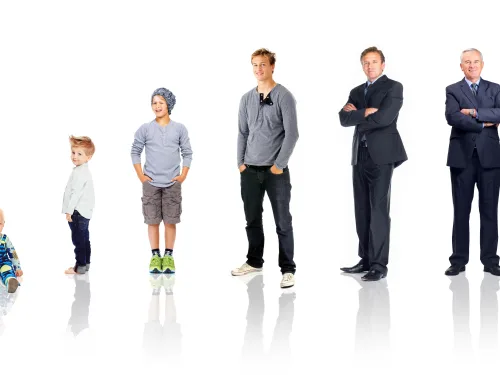 Learn the life stages in this developmental psychology course online.