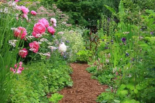 cottage garden path.