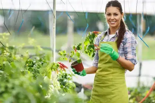 Horticulture A (Introduction) Online Course