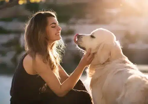 Natural Health Care for Animals Online Course