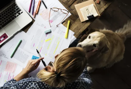 Short Course for Dog Owners